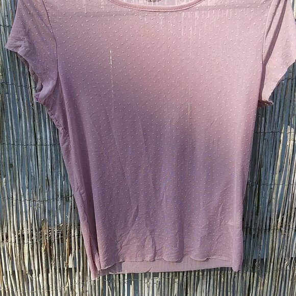 Garage Sexy Sheer See Through Short Sleeve Top Blouse Taupe/Nude - Petite Small - Picture 4 of 15